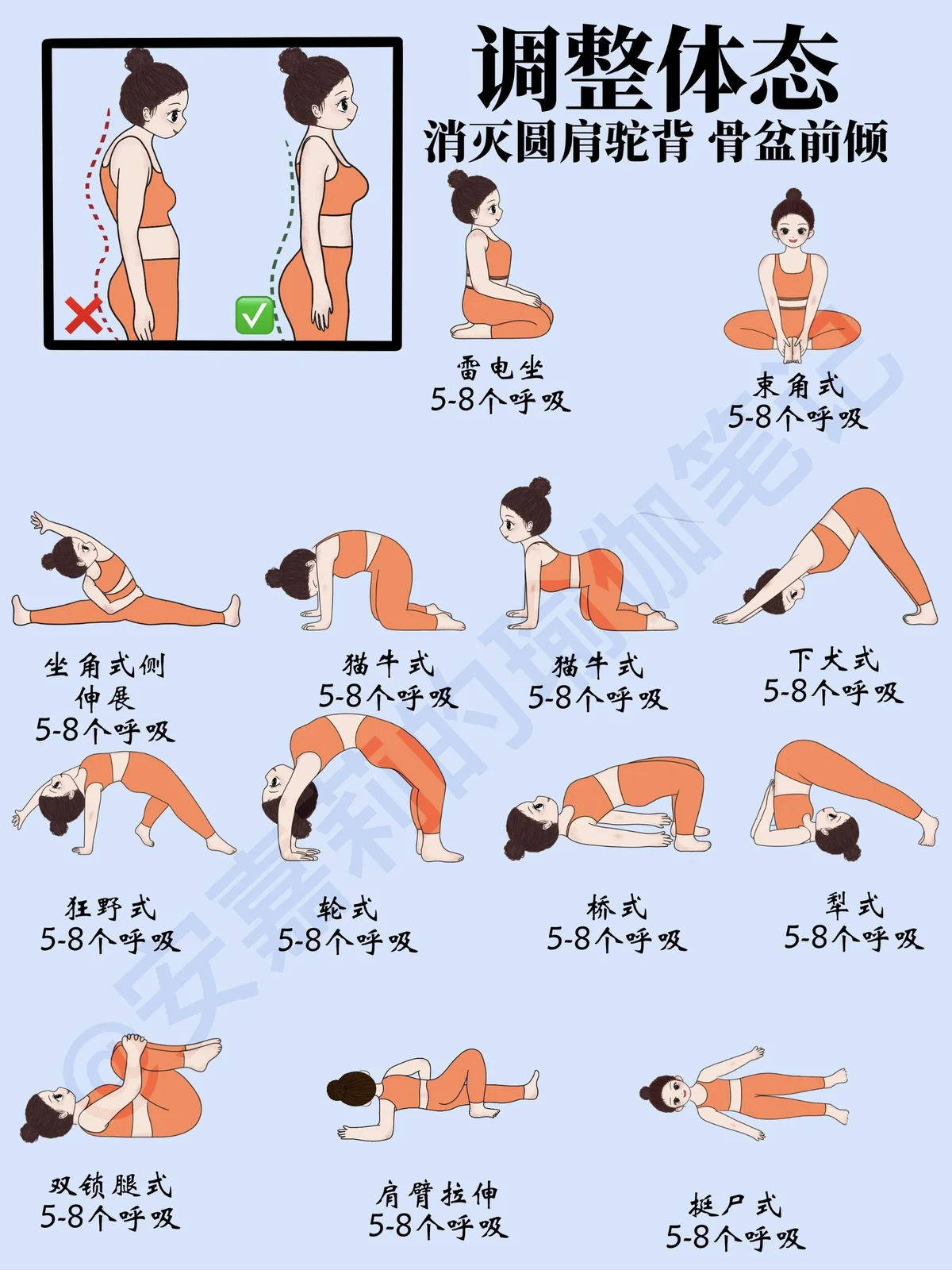 为什么选择特定品牌的篮球训练设备_2